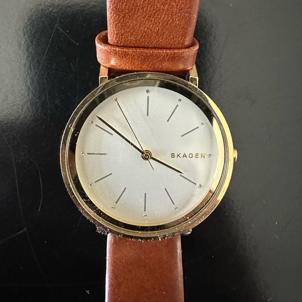 Skagen Women’s Gold Case Brown Leather Strap Watch